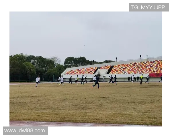 赛后分析:西安足球队与杭州足球队的耐力较量与战术对比