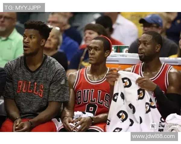 重庆羽毛球队逆袭之路揭秘欧锦赛背后的奋斗与荣耀